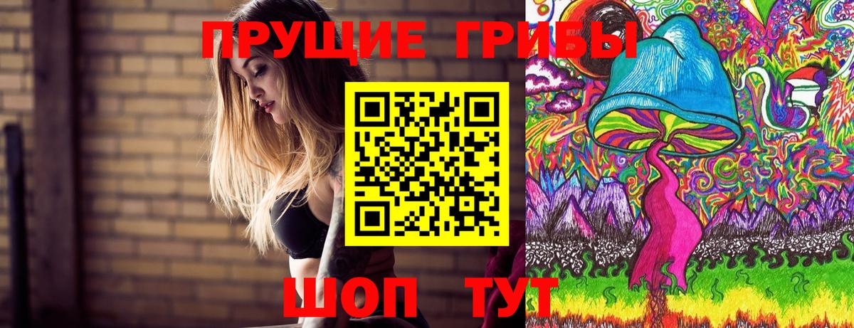 Псилоцибиновые грибы GOLDEN TEACHER  Вход с VPN  Йошкар-Ола  Галлюциногенные грибы мухоморы 